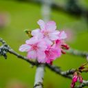 I drink gratis nei casinò: una astuta strategia di marketing