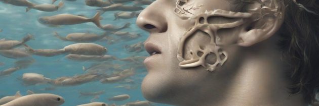 I segreti dell’apnea profonda: come il corpo umano sfida gli abissi