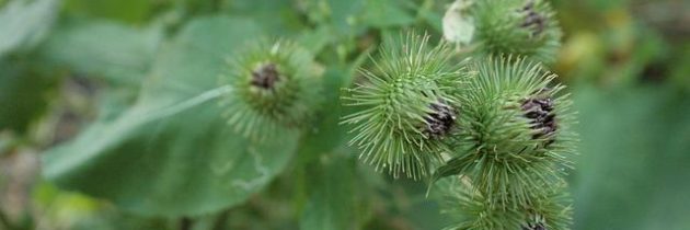 Il concetto di gioco responsabile: cosa significa davvero